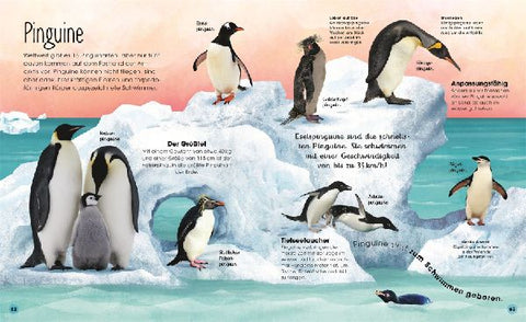 9783831047536 - Sample content