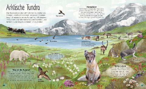 9783831047536 - Sample content