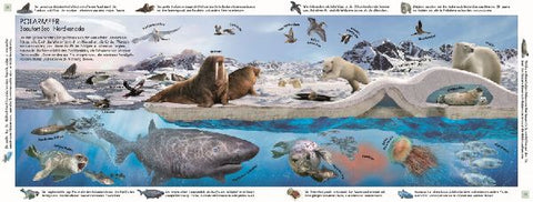 9783831047642 - Sample content