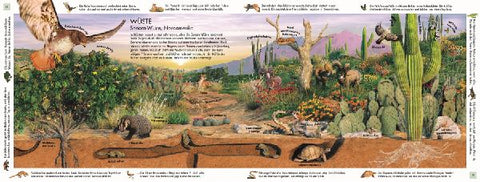 9783831047642 - Sample content