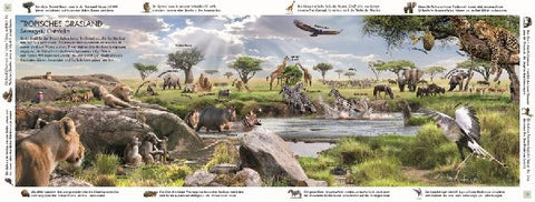 9783831047642 - Sample content