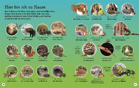 9783831047840 - Sample content