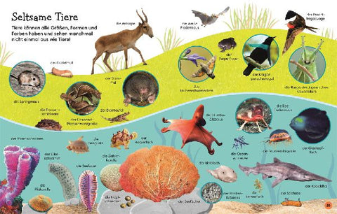 9783831047840 - Sample content