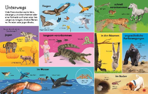 9783831047840 - Sample content