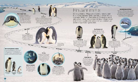 9783831048298 - Sample content