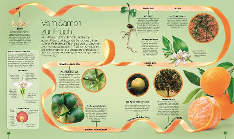 9783831048298 - Sample content