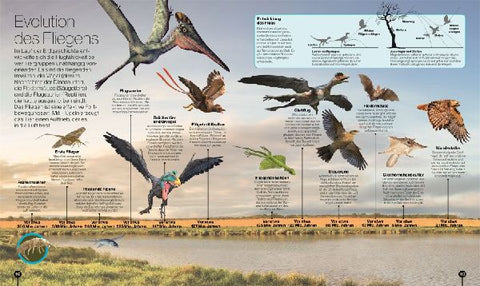 9783831048298 - Sample content