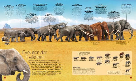 9783831048298 - Sample content