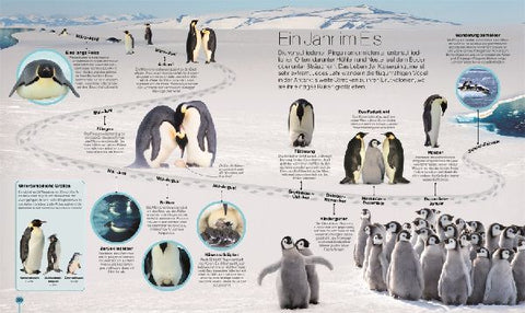 9783831048298 - Sample content