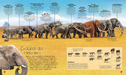 9783831048298 - Sample content