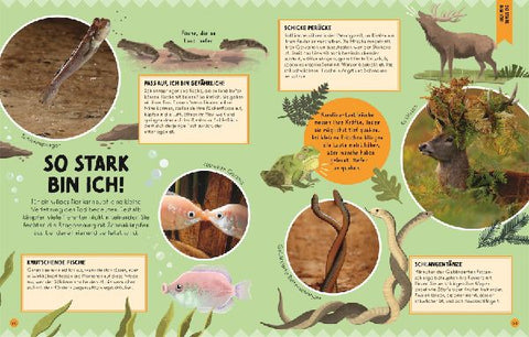 9783831048410 - Sample content