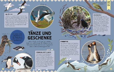 9783831048410 - Sample content