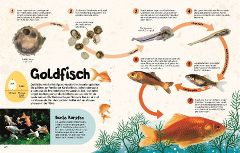 9783831048427 - Sample content