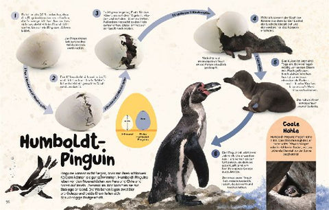 9783831048427 - Sample content