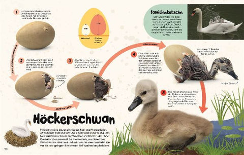 9783831048427 - Sample content