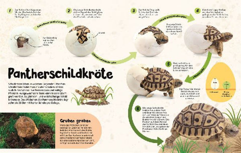 9783831048427 - Sample content