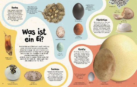 9783831048427 - Sample content