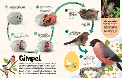 9783831048427 - Sample content