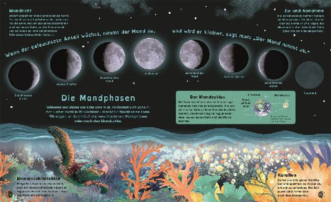 9783831048434 - Sample content