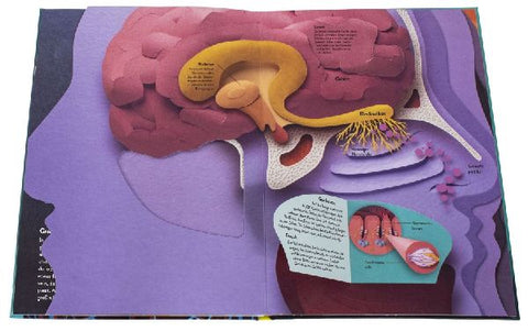 9783831048724 - Sample content