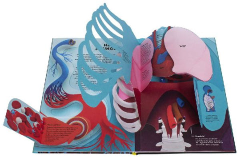 9783831048724 - Sample content