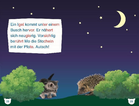 9783831048885 - Sample content