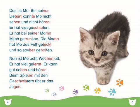 9783831048885 - Sample content