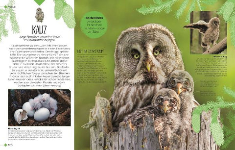 9783831048915 - Sample content