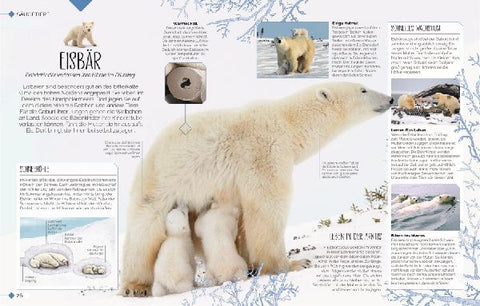 9783831048915 - Sample content