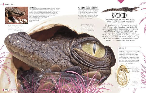 9783831048915 - Sample content