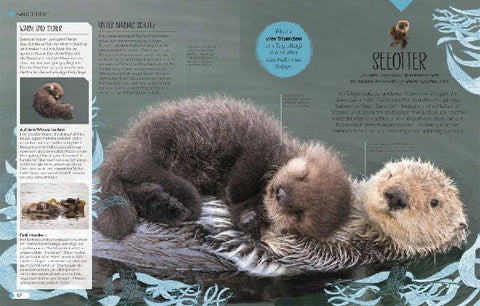 9783831048915 - Sample content