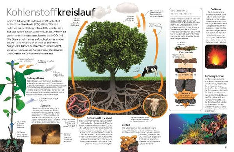 9783831049011 - Sample content