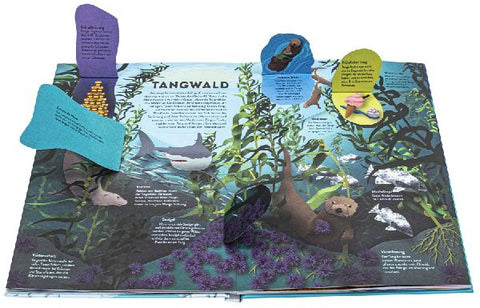 9783831049103 - Sample content