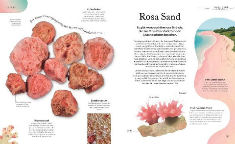 9783831049127 - Sample content