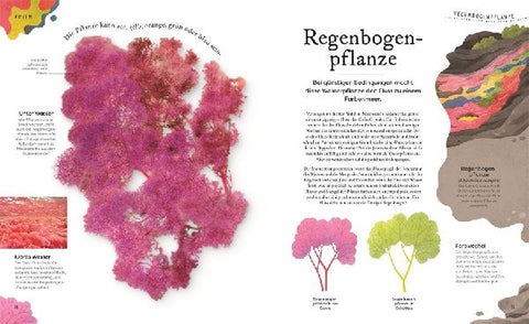 9783831049127 - Sample content