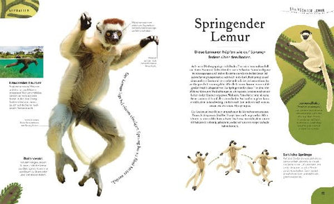 9783831049127 - Sample content