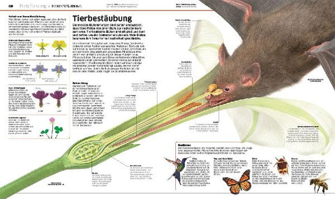 9783831049134 - Sample content