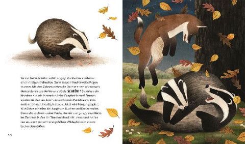 9783831049158 - Sample content