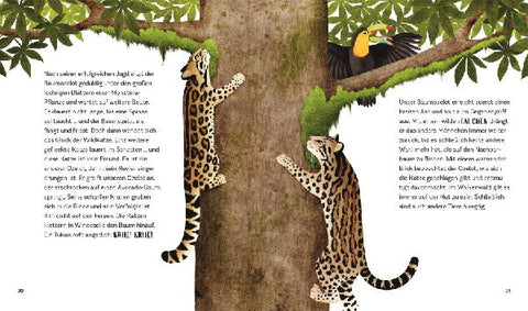 9783831049158 - Sample content