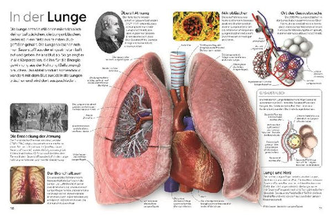 9783831049325 - Sample content