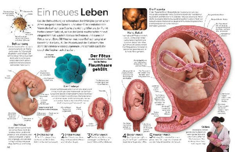 9783831049325 - Sample content