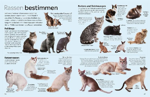 9783831049356 - Sample content