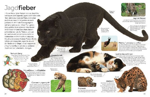 9783831049356 - Sample content