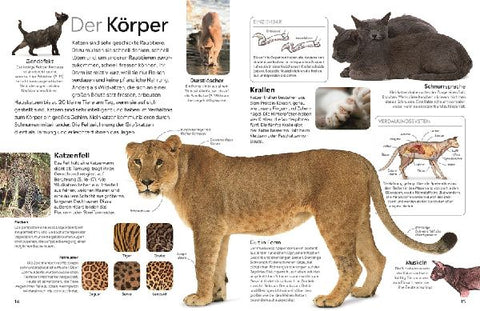 9783831049356 - Sample content