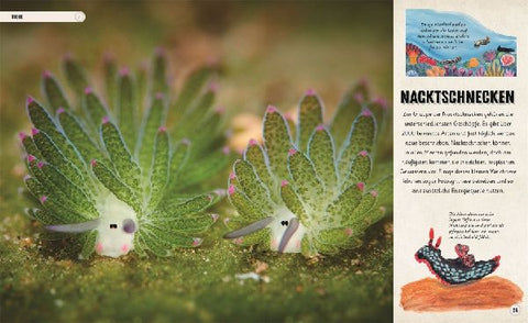 9783831049387 - Sample content