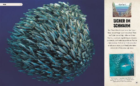 9783831049387 - Sample content