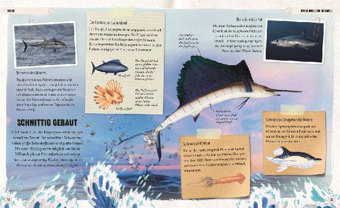 9783831049387 - Sample content