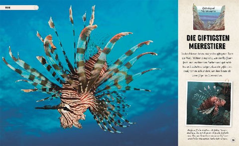 9783831049387 - Sample content