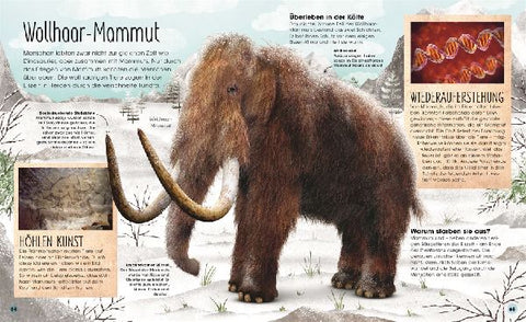 9783831049455 - Sample content