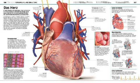 9783831049714 - Sample content